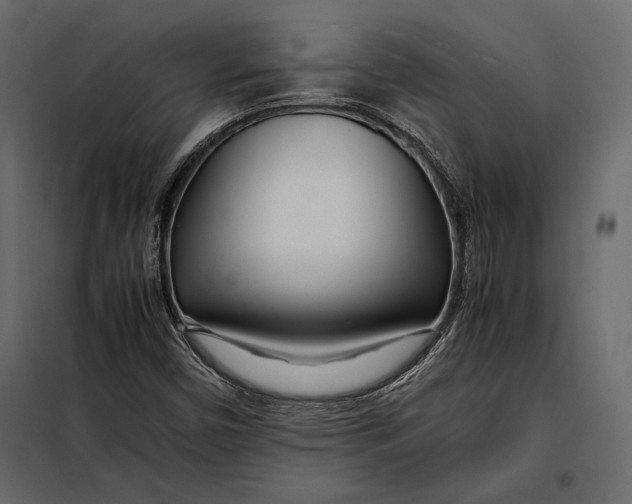 X0000098081450200804251502