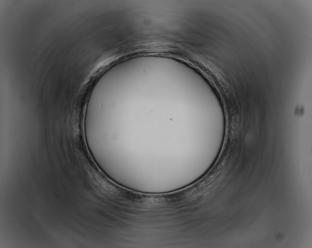 X0000098081451200804251502