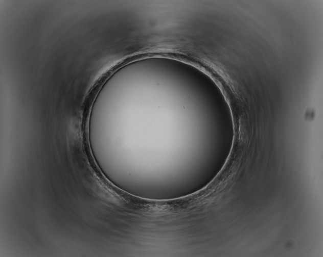 X0000098081452200804251502