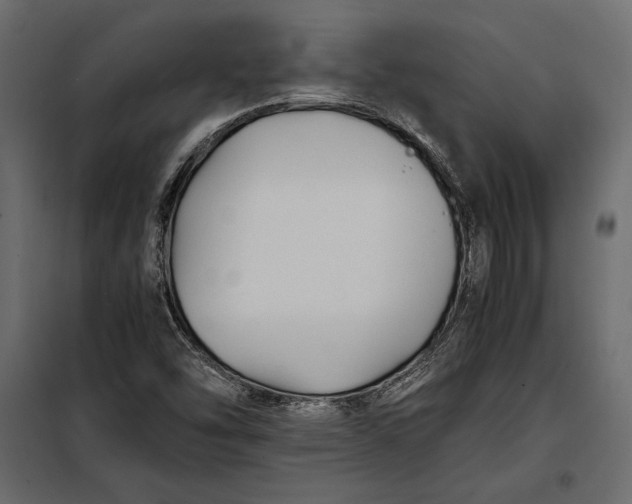 X0000098081454200804251502