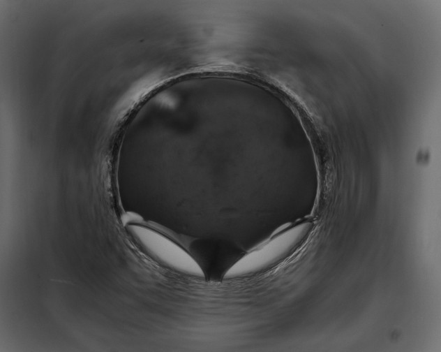 X0000098081455200804251502