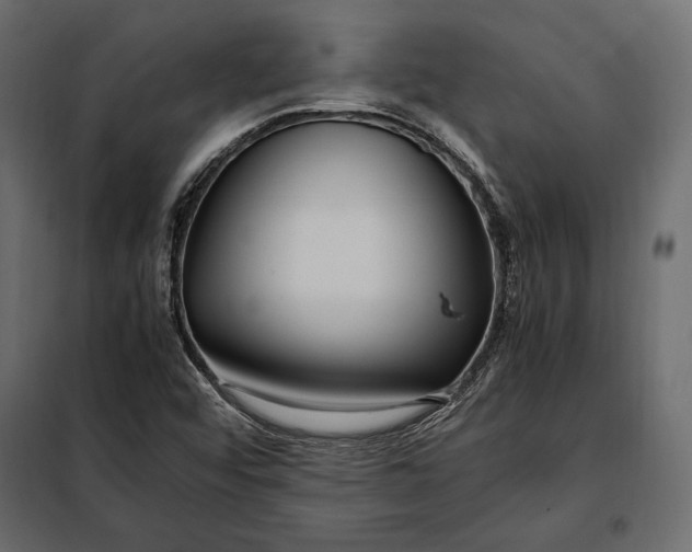 X0000098081456200804251502