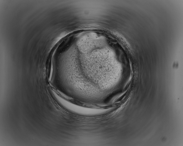 X0000098081457200804251502