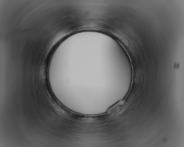 X0000098081458200804251502