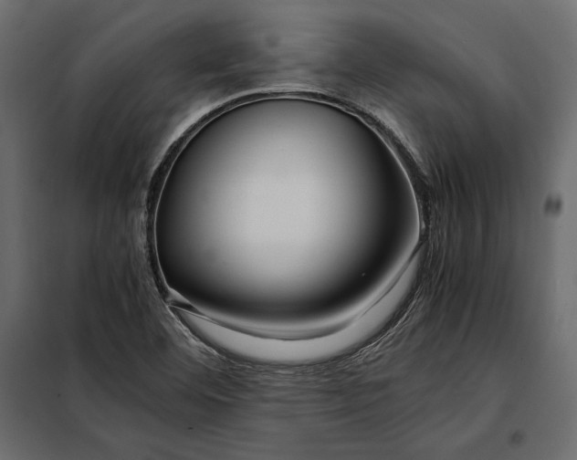 X0000098081460200804251502