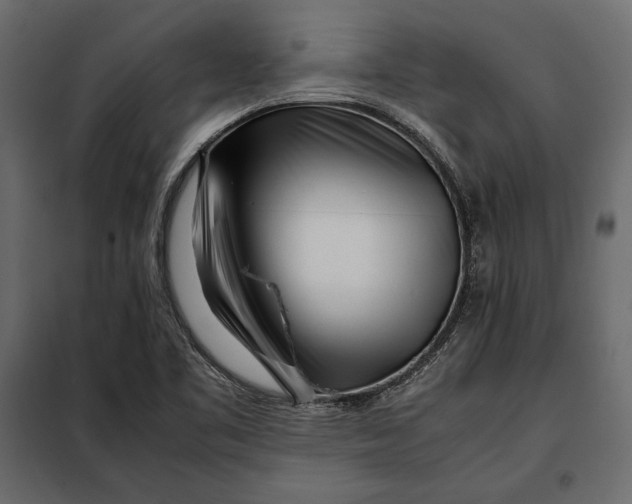 X0000098081461200804251502