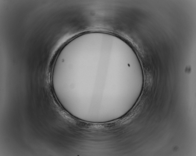 X0000098081462200804251502