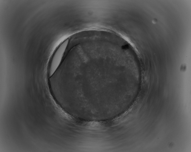 X0000098081463200804251502