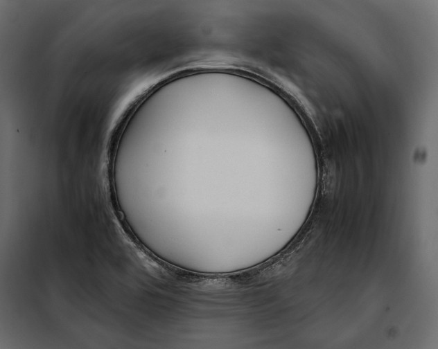 X0000098081464200804251502