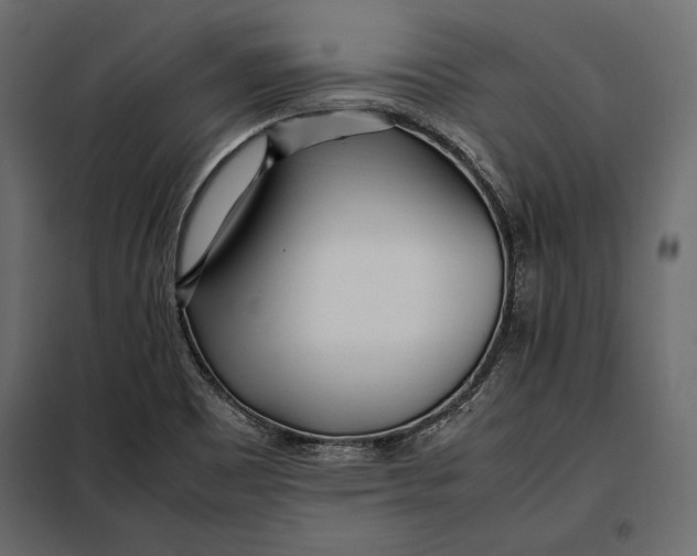 X0000098081465200804251502