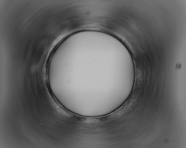 X0000098081466200804251502