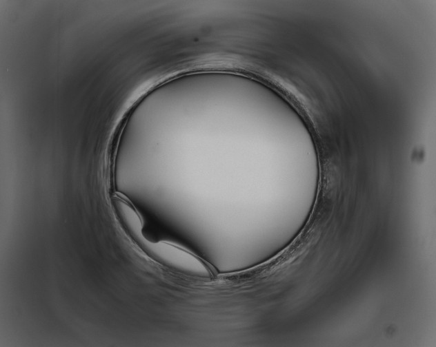 X0000098081467200804251502