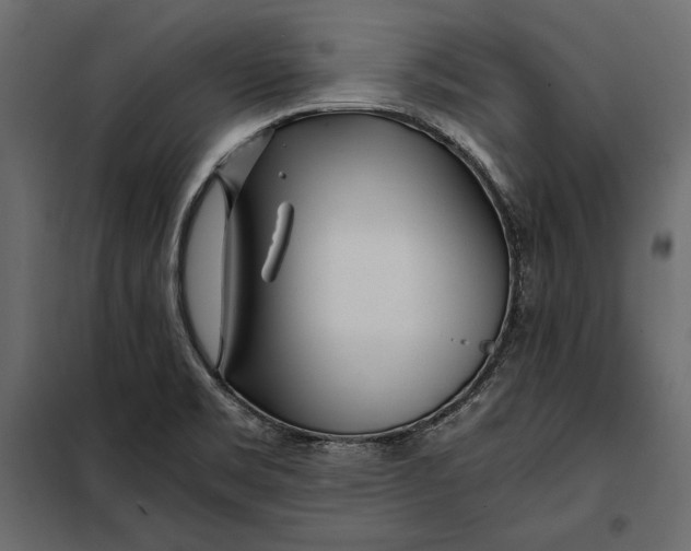 X0000098081469200804251502