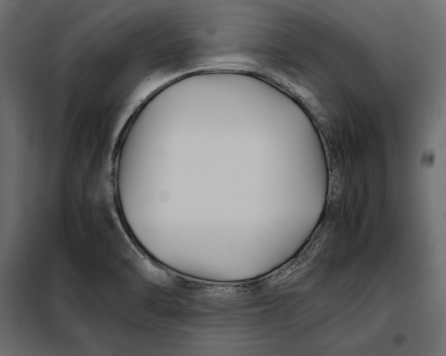 X0000098081470200804251502