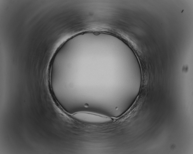 X0000098081471200804251502