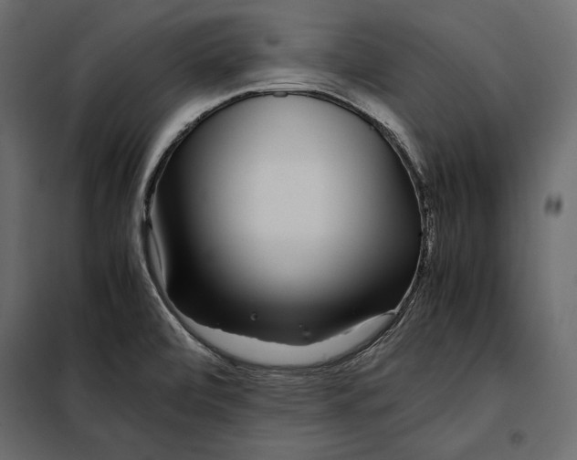 X0000098081472200804251502