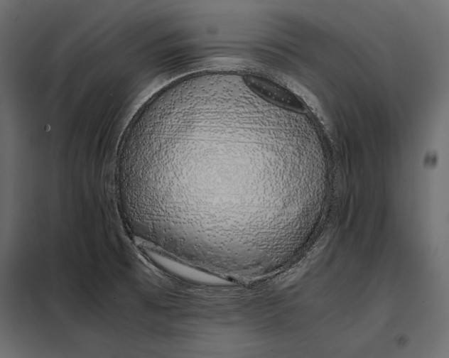 X0000098081473200804251502