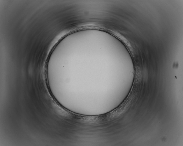 X0000098081474200804251502