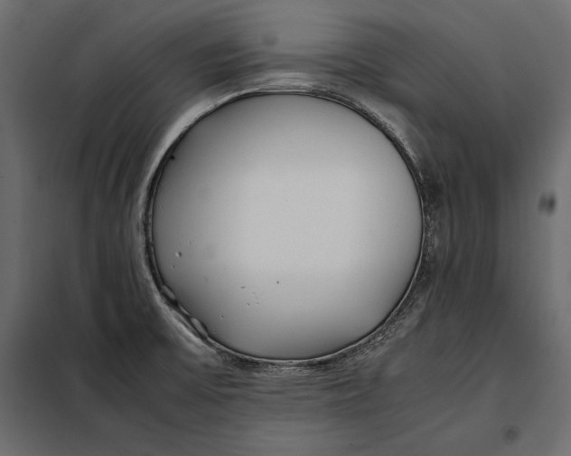 X0000098081475200804251502