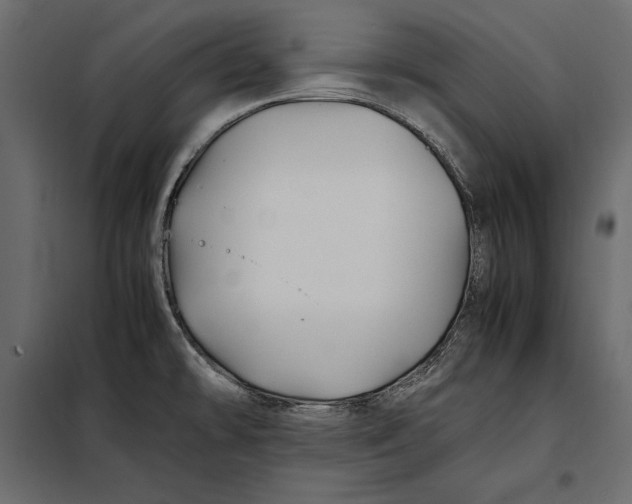 X0000098081478200804251502