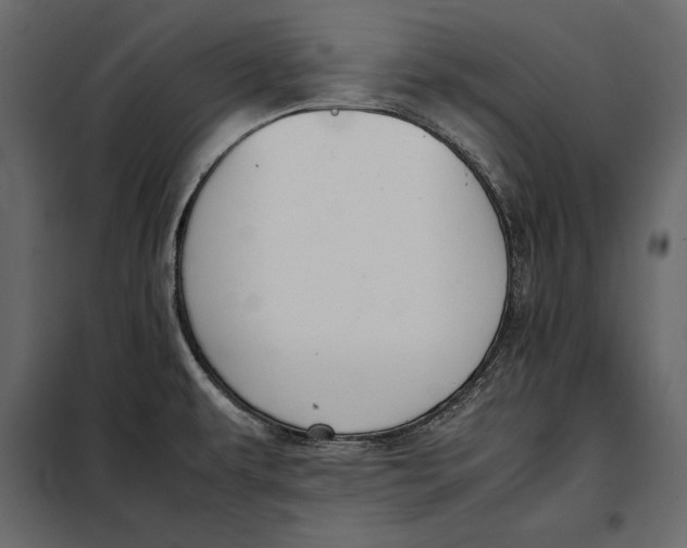 X0000098081479200804251502