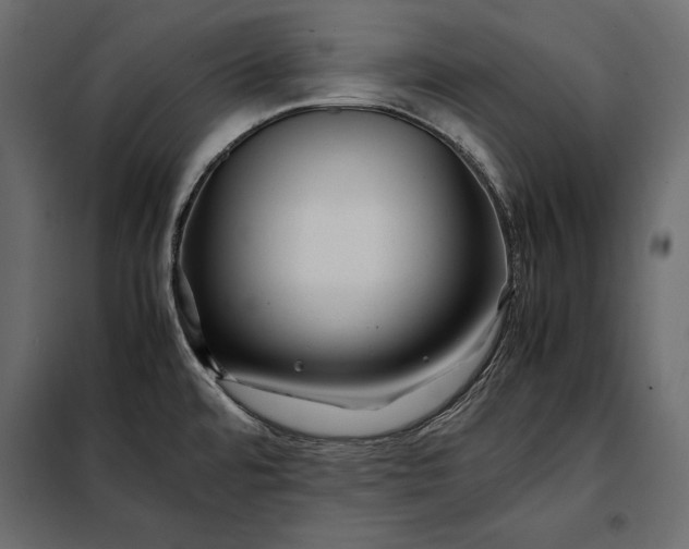 X0000098081480200804251502