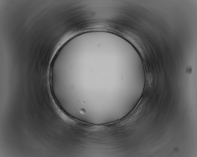 X0000098081482200804251502