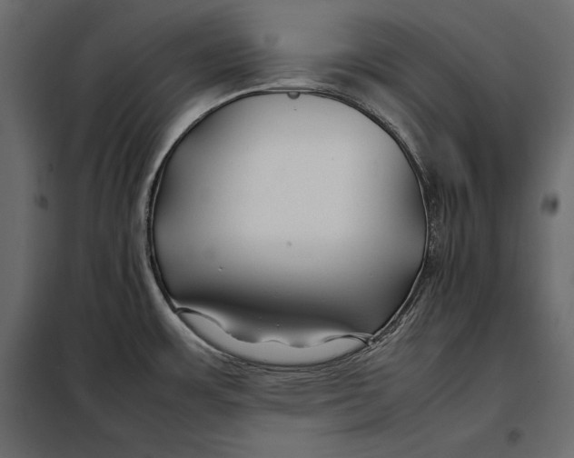 X0000098081483200804251502