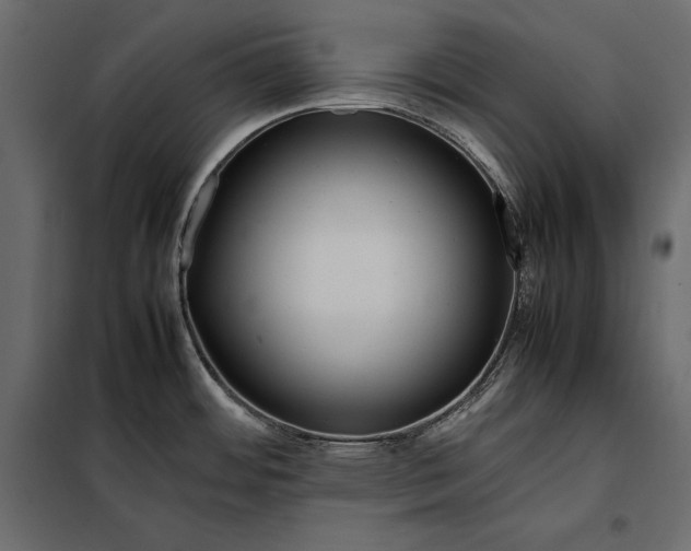 X0000098081484200804251502