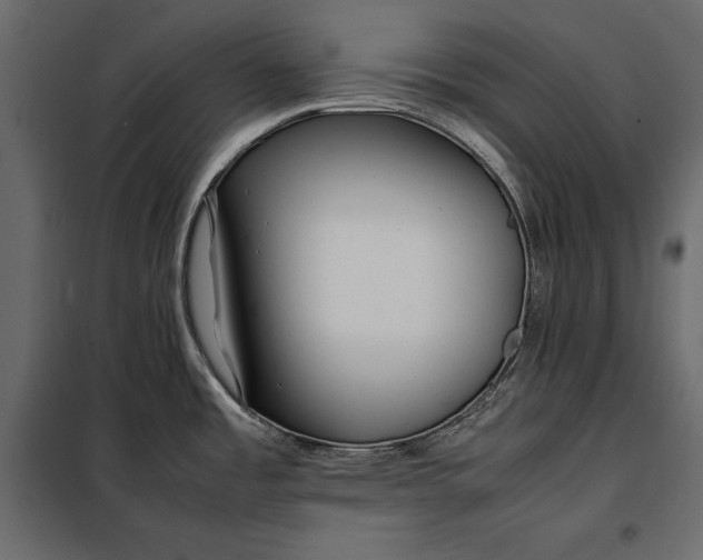 X0000098081485200804251502