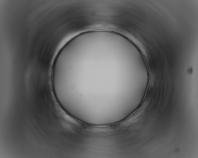 X0000098081486200804251502