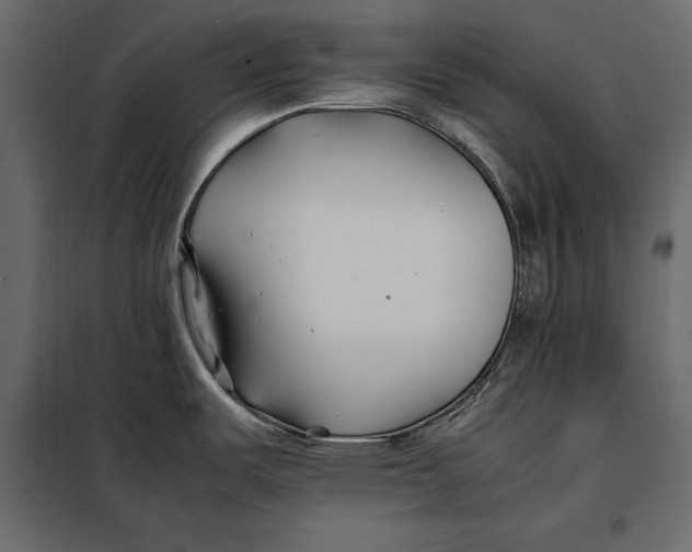 X0000098081487200804251502