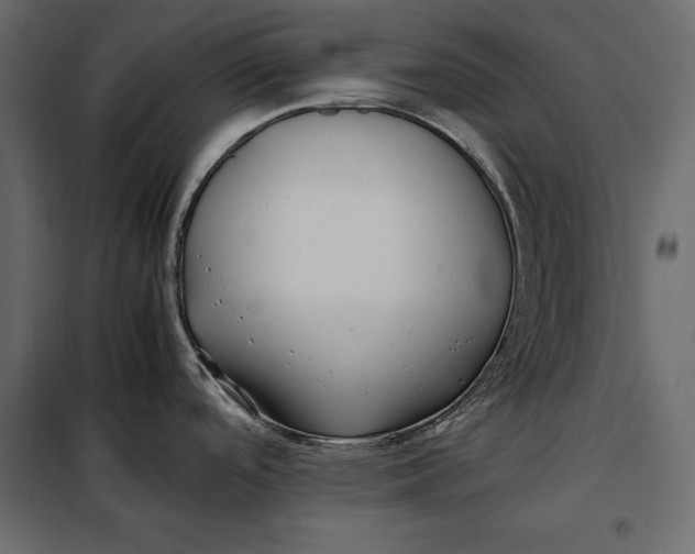 X0000098081488200804251502