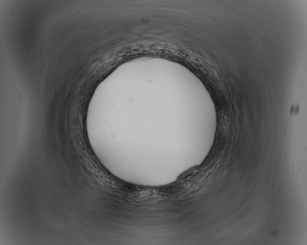 X0000098081489200804251501