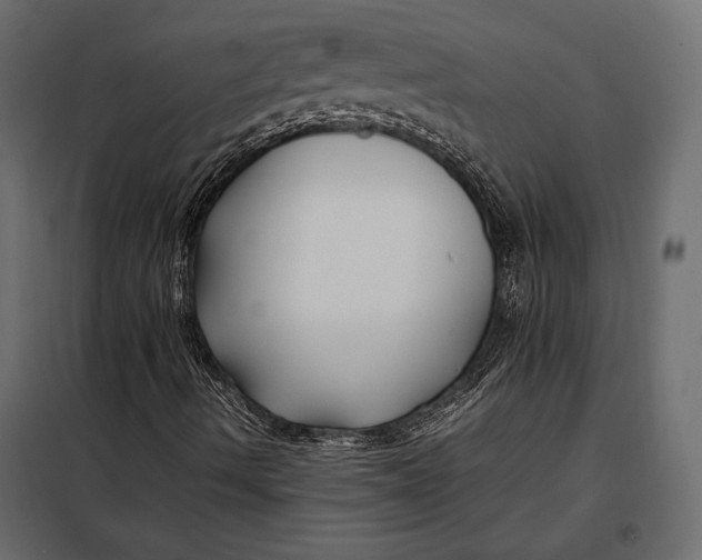 X0000098081490200804251501