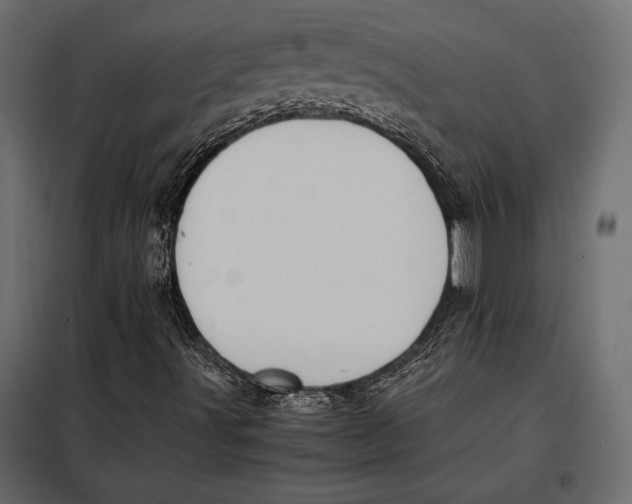 X0000098081491200804251501