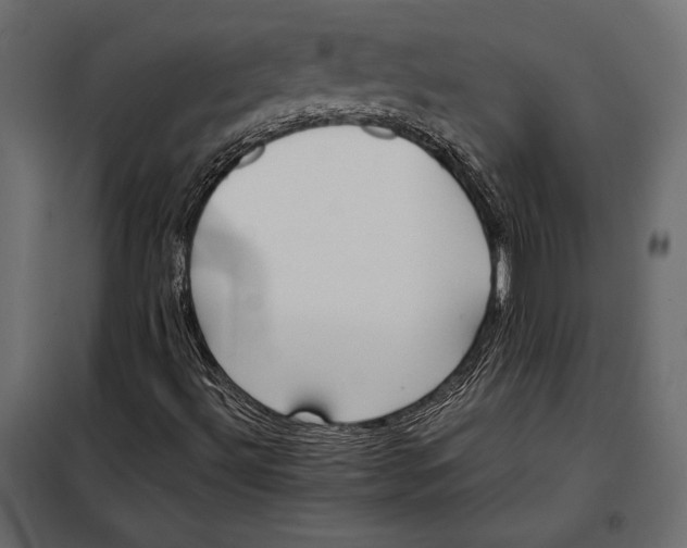 X0000098081492200804251501