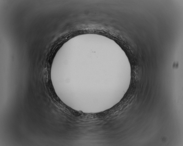 X0000098081493200804251501