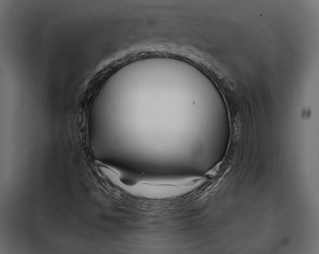 X0000098081494200804251501