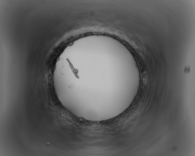 X0000098081495200804251501