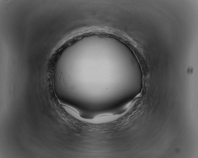 X0000098081496200804251501