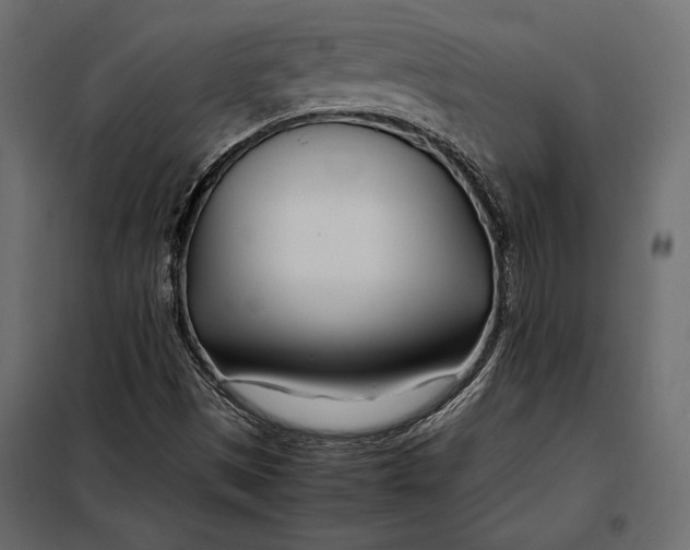 X0000098081497200804251501