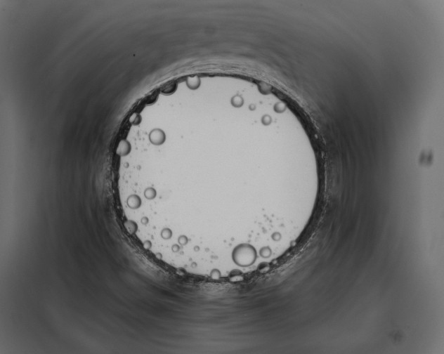 X0000098081498200804251501