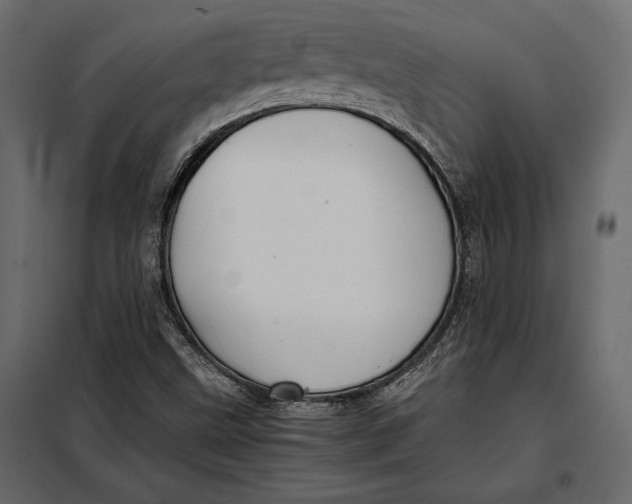 X0000098081499200804251501