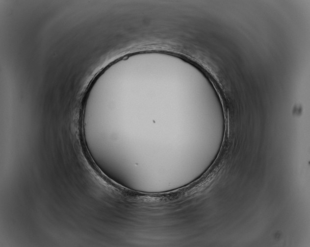 X0000098081500200804251501