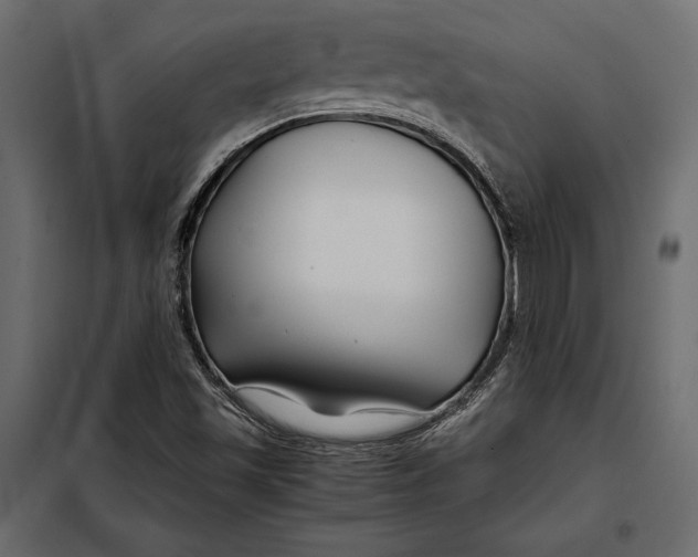 X0000098081501200804251501