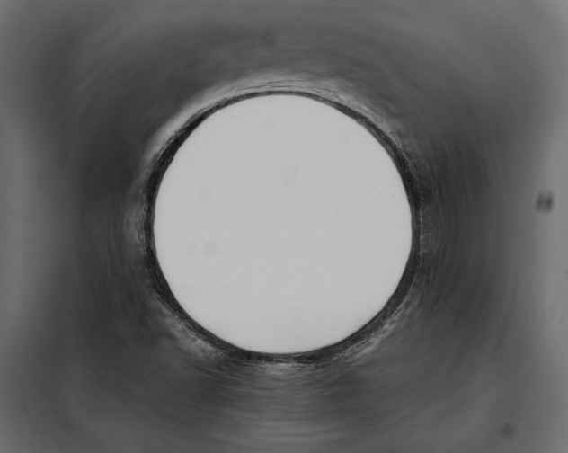 X0000098081502200804251501