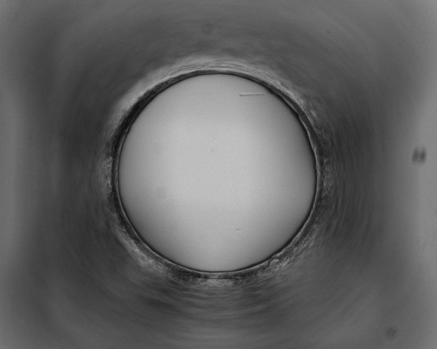 X0000098081503200804251501