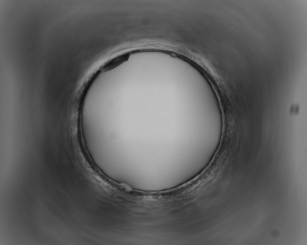 X0000098081504200804251501