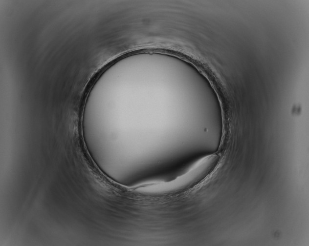 X0000098081505200804251501